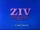 ZIV International/Other