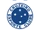Cruzeiro Esporte Clube
