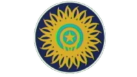 India Cricket logo classic