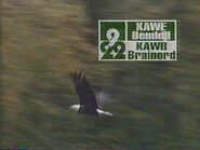 Kawekawb1995
