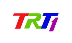 Logo TRT1 2009-2014