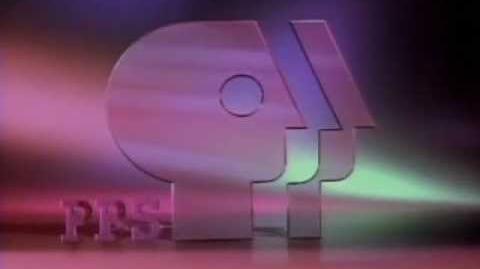 Public Broadcasting Service ident (1993)