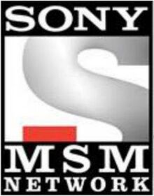 Sony MSM Network.jpg