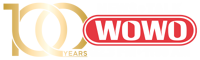 100th anniversary logo (2025)