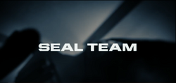 Seal Team