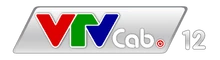 VTVcab 12
