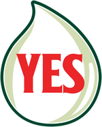 Yes logo 2005