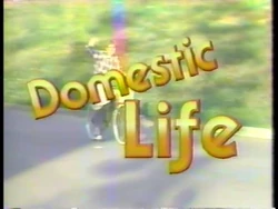 Domestic Lifelogo