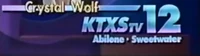 KTXS-TV logo 1987-1995