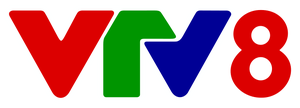 VTV8 logo 2016 final