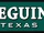 City of Seguin