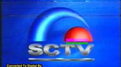 Sctv Other Logopedia Fandom