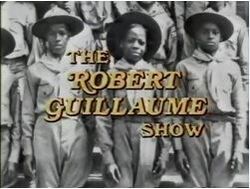 The robert guillaume show