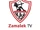 Zamalek TV