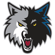 Minnesota Timberwolves logo (alternate)