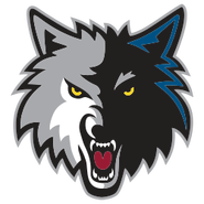 Alternate logo, also introduced in 2008