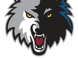 Minnesota Timberwolves
