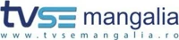 Alternate logo with URL