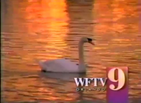 WFTVswanid