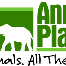 Download Animal Planet Other Logopedia Fandom PSD Mockup Templates