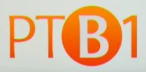 RTV 1 Vojvodina (2010-2011)