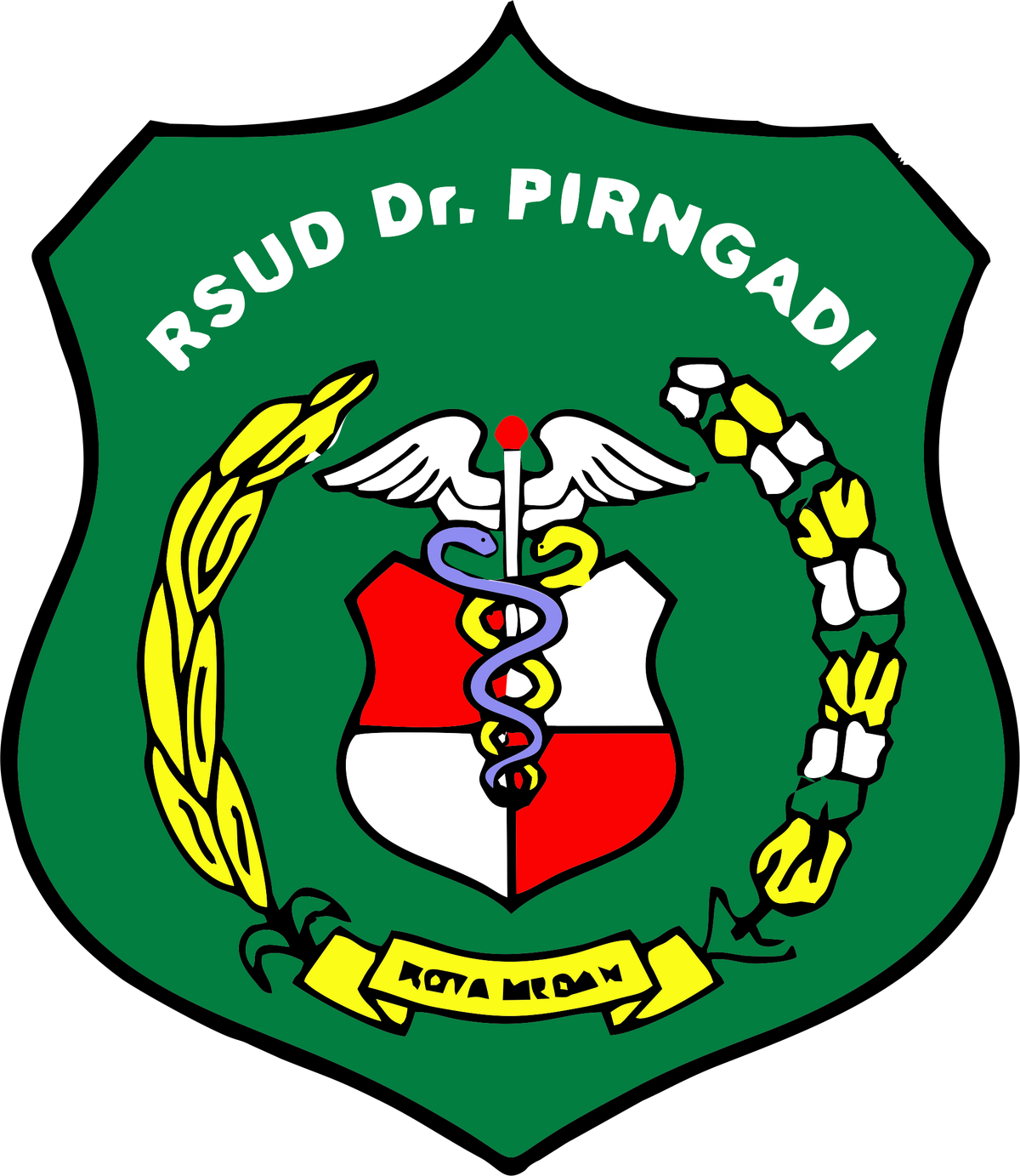 Rumah Sakit Umum Daerah Dr. Pirngadi Logopedia Fandom