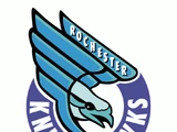 Rochester Knighthawks