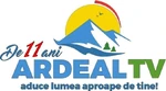 11th anniversary logo (2020)