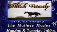 "Black Beauty" promo (December 21, 1985)