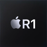 R1q chip top