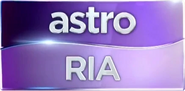 Channel ID and bumper logo (2015-present)