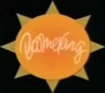 Summer on-screen bug (2009–2014)