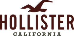 About hollister brand outlet