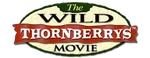 Alternate logo