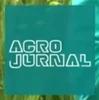 On-screen bug (2019-2023)