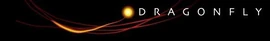 Dragonfly Film and TV logo