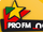 Pro FM Net
