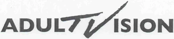 AdulTVision 1995