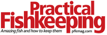 Practial fishkeeping