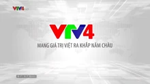 VTV4 (01.01-28.12