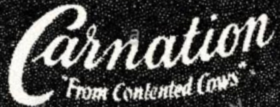 Carnation Logopedia Fandom Carnation Logopedia Fandom