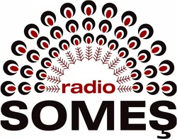 Radio Someș 2010