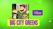 Big City Greens (Asia)