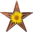 MediaWiki Barnstar