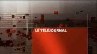 Widescreen version (2007–2009)