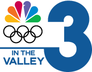 Olympics Logo (2020-2022)