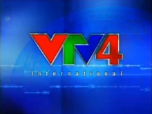 VTV4 (2007-2010)