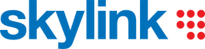 Skylink 2007