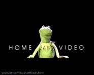 The background except for the "Home Video" and "Kermit the Frog" disappears without delay. This is due to a processing error for this extended logo.