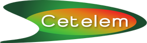 Cetelem 2006